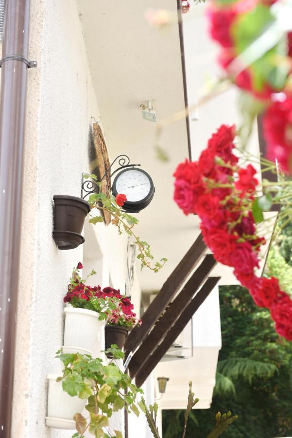 Eke Irin Apartments Οχρίδα Εξωτερικό φωτογραφία
